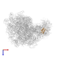 Large ribosomal subunit protein uL18 in PDB entry 2zjq, assembly 1, top view.