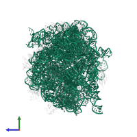 23S ribosomal RNA in PDB entry 2zjq, assembly 1, side view.