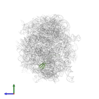 Large ribosomal subunit protein bL27 in PDB entry 2zjq, assembly 1, side view.