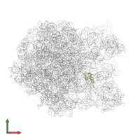 Large ribosomal subunit protein uL30 in PDB entry 2zjq, assembly 1, front view.