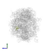 Large ribosomal subunit protein uL30 in PDB entry 2zjq, assembly 1, side view.