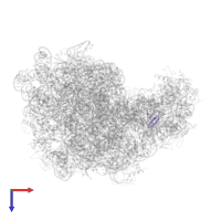 Large ribosomal subunit protein bL36 in PDB entry 2zjq, assembly 1, top view.