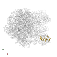 Large ribosomal subunit protein uL5 in PDB entry 2zjq, assembly 1, front view.