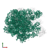 23S ribosomal RNA in PDB entry 2zjr, assembly 1, front view.