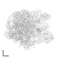 Large ribosomal subunit protein uL30 in PDB entry 2zjr, assembly 1, front view.
