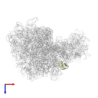 Large ribosomal subunit protein uL30 in PDB entry 2zjr, assembly 1, top view.