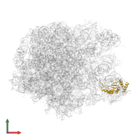 Large ribosomal subunit protein uL5 in PDB entry 2zjr, assembly 1, front view.