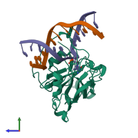PDB entry 2zke coloured by chain, side view.