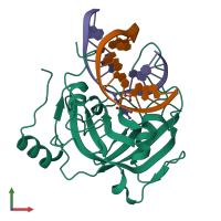 PDB entry 2zkf coloured by chain, front view.