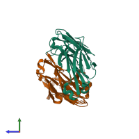 PDB entry 2zkh coloured by chain, side view.