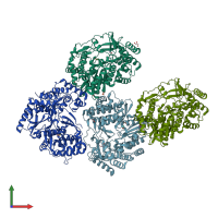 PDB entry 2zku coloured by chain, front view.