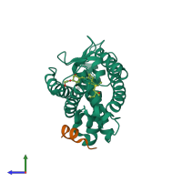 PDB entry 2zla coloured by chain, side view.