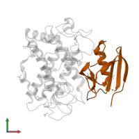 MelC in PDB entry 2zmz, assembly 1, front view.
