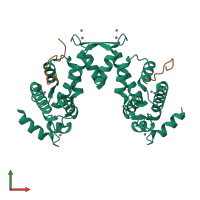 Hetero tetrameric assembly 3 of PDB entry 2zne coloured by chemically distinct molecules, front view.