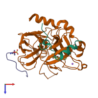 PDB entry 2zo3 coloured by chain, top view.