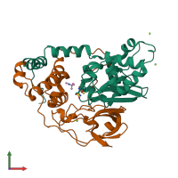 PDB entry 2zpf coloured by chain, front view.