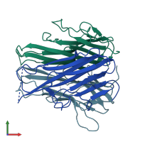 PDB entry 2zpx coloured by chain, front view.