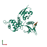 PDB entry 2zpy coloured by chain, front view.