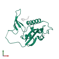 Peptidyl-prolyl cis-trans isomerase NIMA-interacting 1 in PDB entry 2zqs, assembly 1, front view.