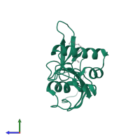 Peptidyl-prolyl cis-trans isomerase NIMA-interacting 1 in PDB entry 2zr4, assembly 1, side view.