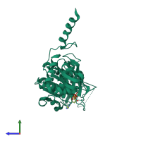 PDB entry 2zrg coloured by chain, side view.