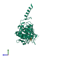 PDB entry 2zrp coloured by chain, side view.