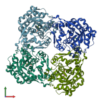 3D model of 2zru from PDBe