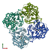 3D model of 2zry from PDBe