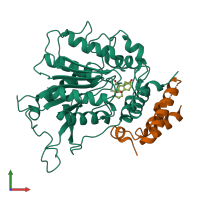 PDB entry 2zsh coloured by chain, front view.