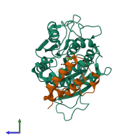 PDB entry 2zsh coloured by chain, side view.