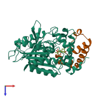PDB entry 2zsh coloured by chain, top view.