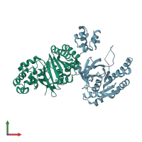 PDB entry 2zud coloured by chain, front view.