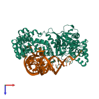 PDB entry 2zuf coloured by chain, top view.