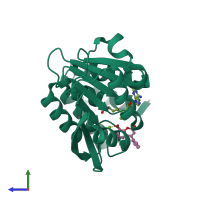 PDB entry 2zvj coloured by chain, side view.