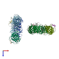 PDB entry 2zvl coloured by chain, top view.