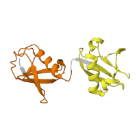 The deposited structure of PDB entry 2zvn contains 8 copies of Pfam domain PF00240 (Ubiquitin family) in Ubiquitin. Showing 2 copies in chain E [auth C].