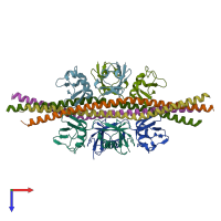 PDB entry 2zvn coloured by chain, top view.