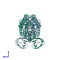 PDB entry 2zx7 coloured by chain, side view.