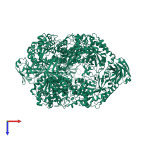 Alpha-L-fucosidase, putative in PDB entry 2zxa, assembly 1, top view.