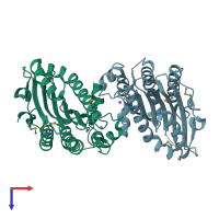 PDB entry 2zxk coloured by chain, top view.