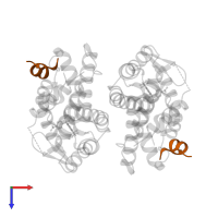 Nuclear receptor coactivator 2 in PDB entry 2zxz, assembly 1, top view.