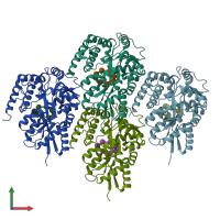 PDB entry 2zyk coloured by chain, front view.