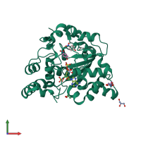 3D model of 2zyv from PDBe