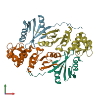 PDB entry 2zyz coloured by chain, front view.