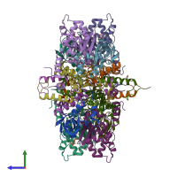 PDB entry 2zzd coloured by chain, side view.