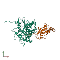 PDB entry 2zzp coloured by chain, front view.