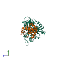 PDB entry 2zzp coloured by chain, side view.