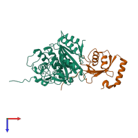 PDB entry 2zzp coloured by chain, top view.