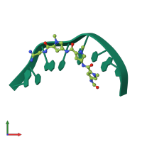 PDB entry 304d coloured by chain, front view.