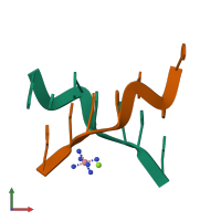 PDB entry 312d coloured by chain, front view.